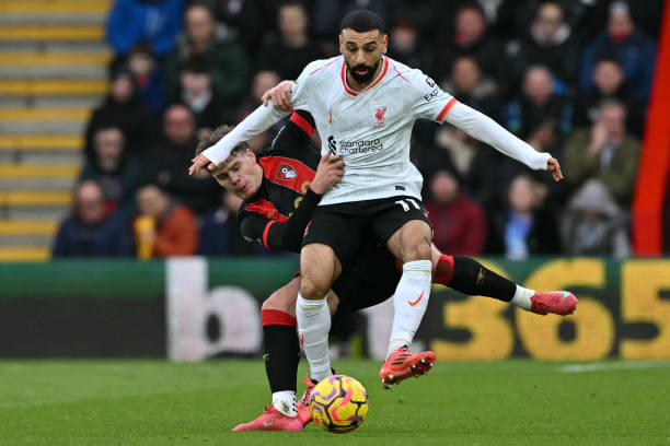 刚刚加盟的 刚刚加盟的